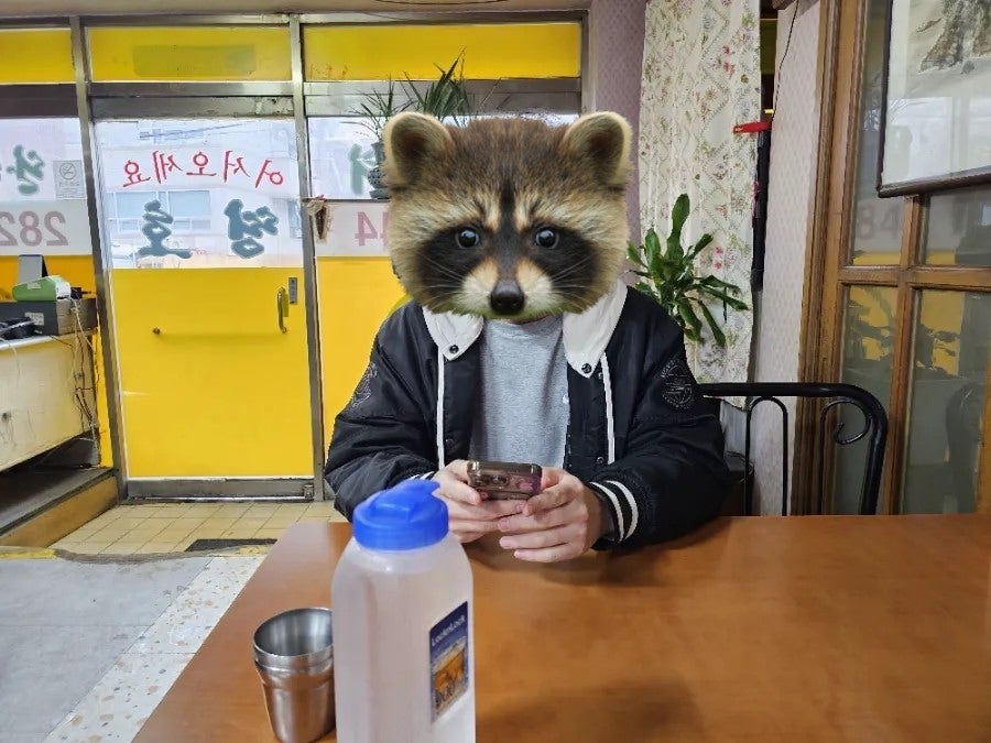 띵호 사진 2