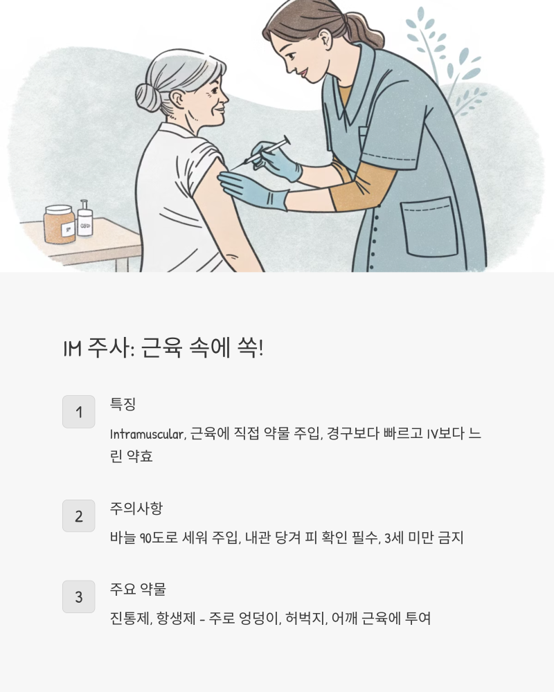 투약 경로별, SC IM IV ID 주사! 차이점 완벽 정리하고 안전하게 투약하세요! : 네이버 블로그
