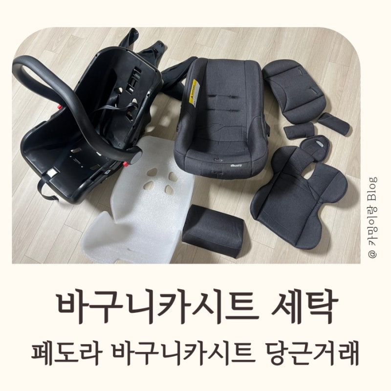 신생아 페도라바구니카시트 당근 후 세탁하기