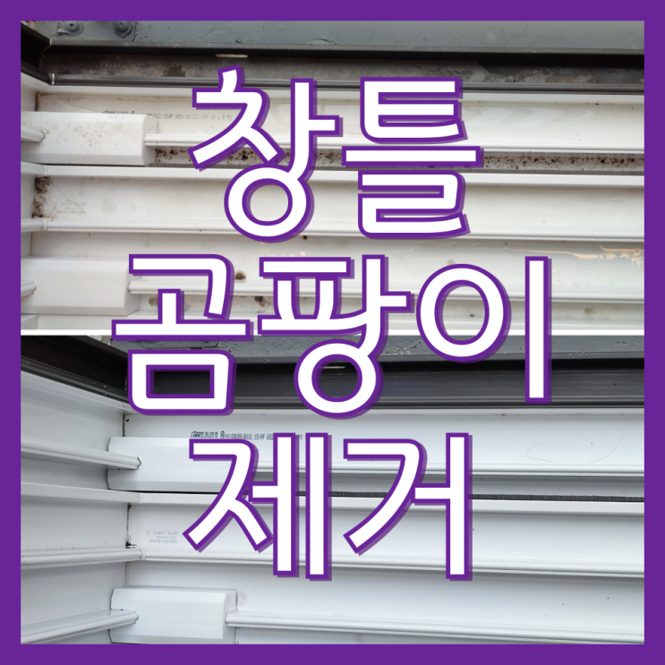  인천 아파트 창문 청소 업체 창틀 곰팡이 제거 청소 후기 주안에듀서밋