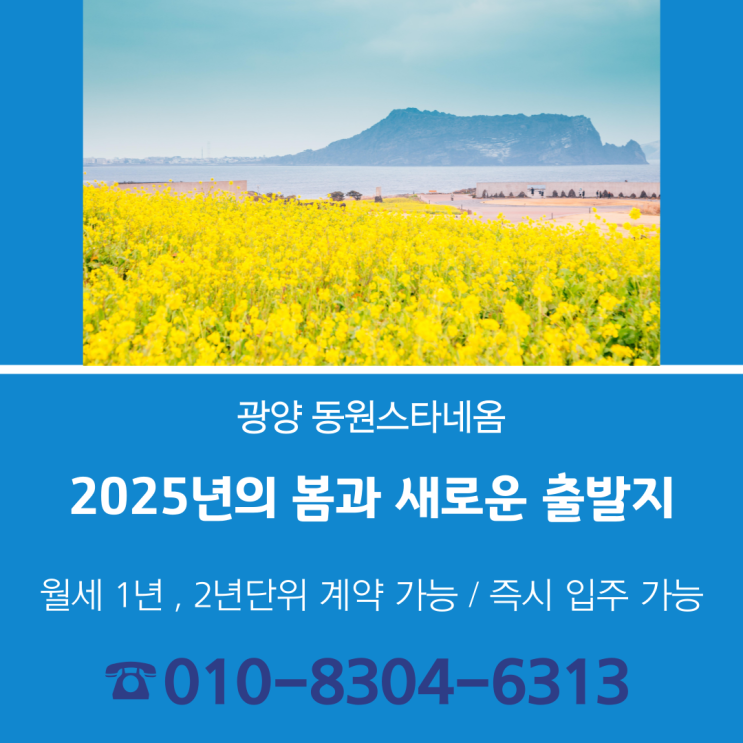  2025년 봄과 함께 새로운 출발지는?