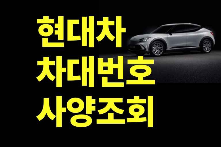 차대번호만 있으면 끝! 현대자동차 사양조회 완전정복