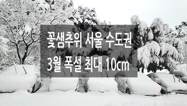 3월 꽃샘추위 서울 수도권 강원 산지 동해안 폭설 대설주의보