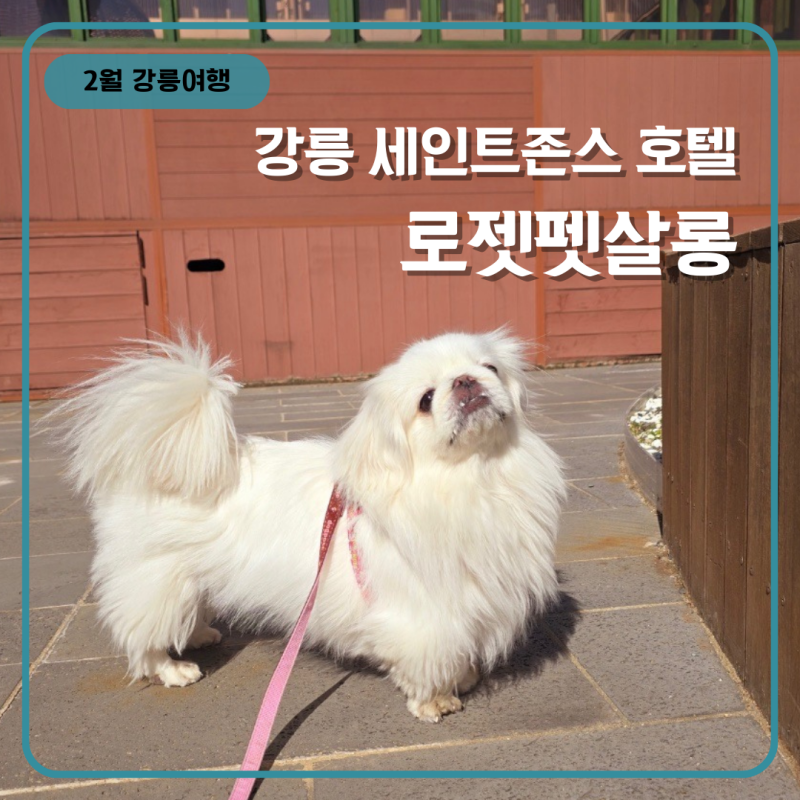 사진 4