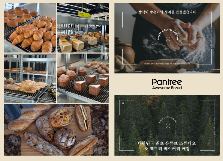  어썸브레드팬트리점, 대한민국 11대 제과·제빵 명장 박준서 셰프 돌아오다(인터뷰)