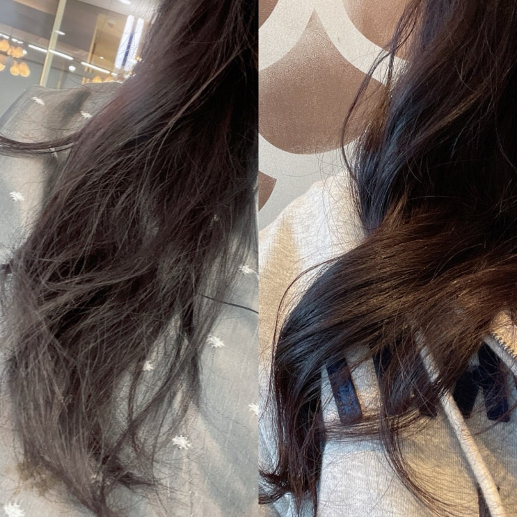  해운대 장산 미용실 열펌후 컬풀림없는 영양 후기