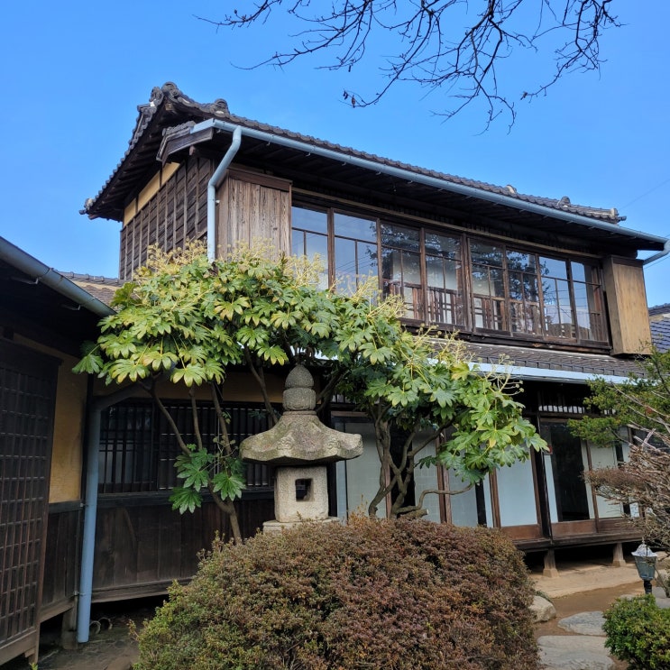  군산여행 1박2일 신흥동 일본식 가옥(히로쓰 가옥), 근대 역사 체험