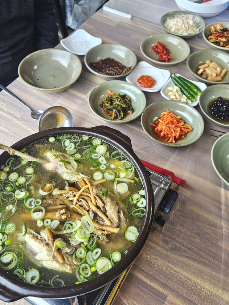  부산 금정구 범어사 맛집 오리백숙 잘하는 둥지가든