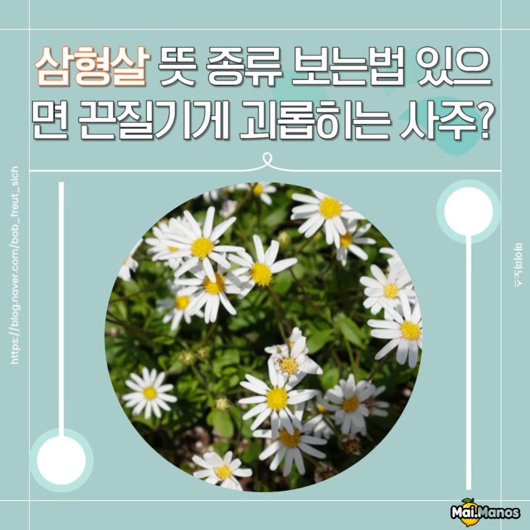  삼형살 뜻 종류 보는법 있으면 끈질기게 괴롭히는 사주?