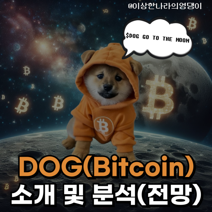  DOG(Bitcoin)코인 소개 및 분석(전망)(Feat.비트코인)