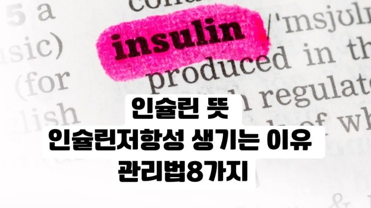  인슐린 뜻 인슐린저항성 생기는 이유 관리법8가지