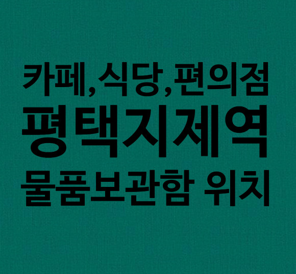  평택지제역 SRT 물품보관함 / 카페, 편의점