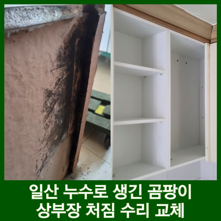  일산 싱크대 상부장 누수 처짐 부분 수리 사리현 동문아파트 곰팡이