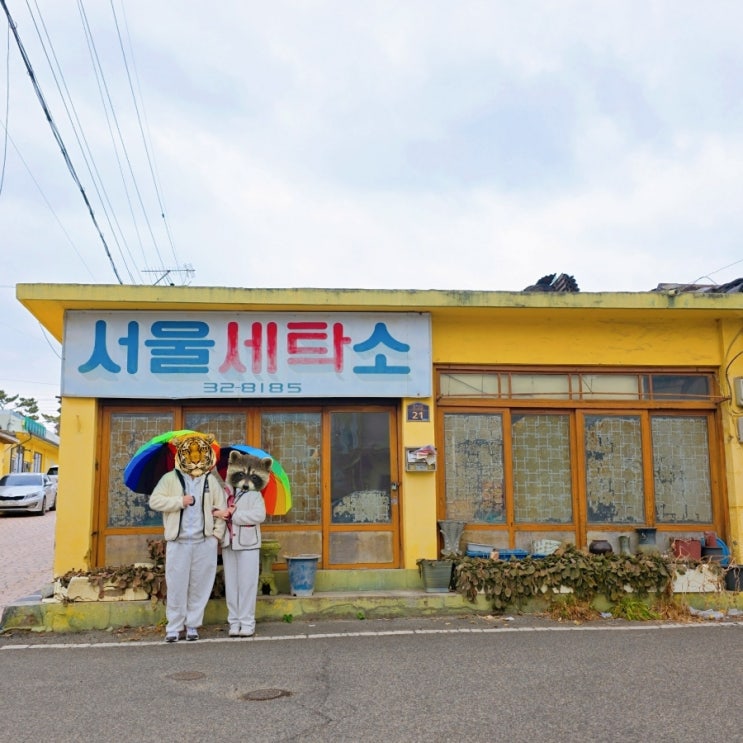  의성 오늘손만두에서 즐기는 겨울끝자락 만두전골 한그릇 