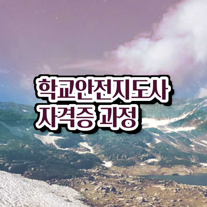  학교안전지도사 1급 , 학교안전지도사 자격증 준비한 방법 확인