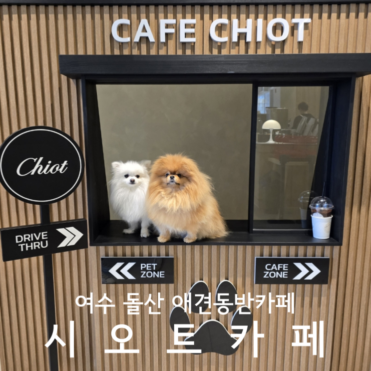  전남 여수 돌산 오션뷰 애견동반카페 시오트카페 애견카페 부럽지 않은곳