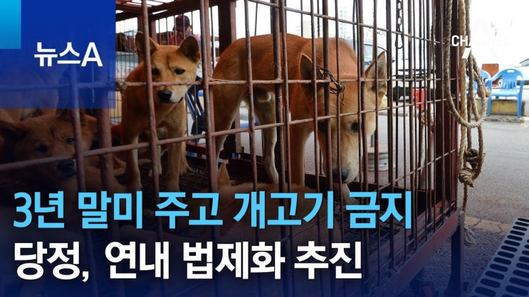 <b>모로코</b>와 FIFA의 슬픈 실체: 2030 <b>월드컵</b>을 위한 끔찍한 개... 