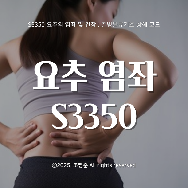 S3350 요추의 염좌 및 긴장 : 질병분류기호 상해 코드