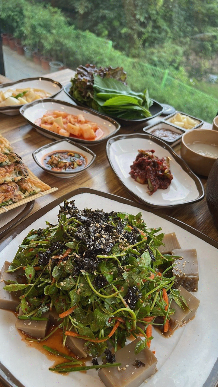  팔공산 맛집 성공식당, 능이버섯백숙에 감동했어요!