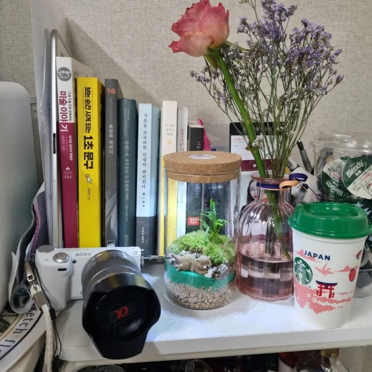  초록이 필요한 자취러를 위한 쉽게 키우는 감성 이끼테라리움 만들기 후기