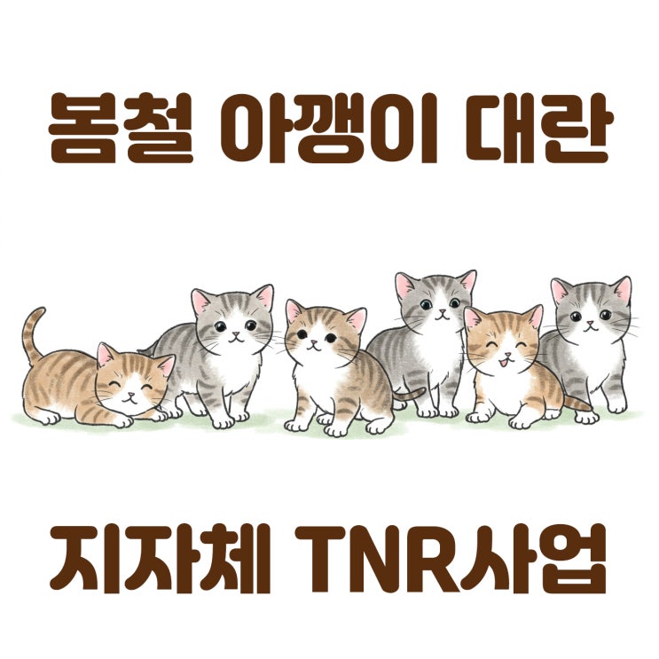  아깽이대란 고양이 중성화사업 각 지자체별 2025년 공지