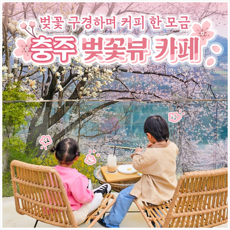 사진 4