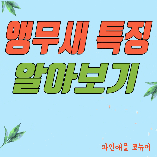  파인애플 코뉴어 앵무새 특징에 대해 알아보기