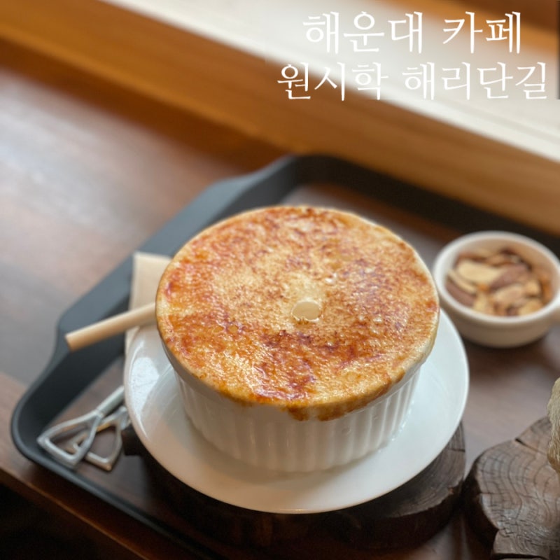 사진 5