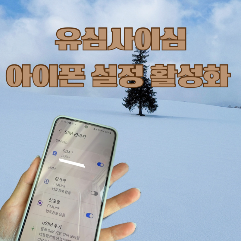 유심사 이심 일본 아이폰 설치 사용법 삿포로여행준비물