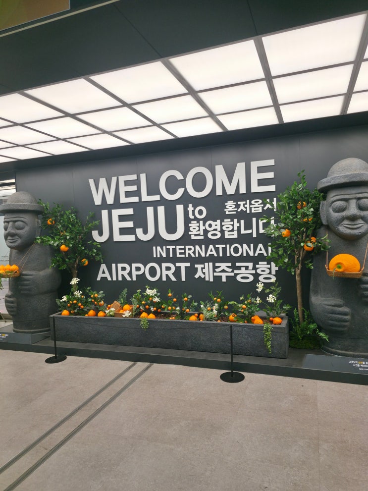  제주도 렌트 비용 예약 후기, 제주더렌트 제주 한라산렌트카