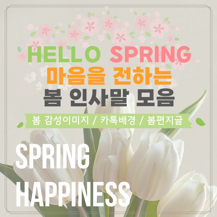  2025 봄 인사말 모음 마음을 전하는 짧은 인사말 봄편지글 추천