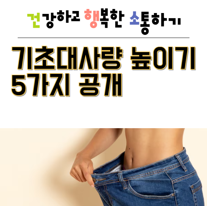  기초대사량 높이기 5가지 공개