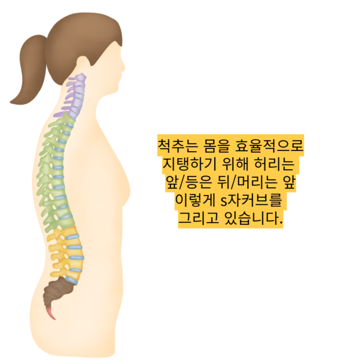  동래 허리디스크, 수술을 고민하고 계신다면?