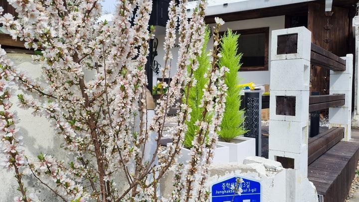 아해못 사진 2