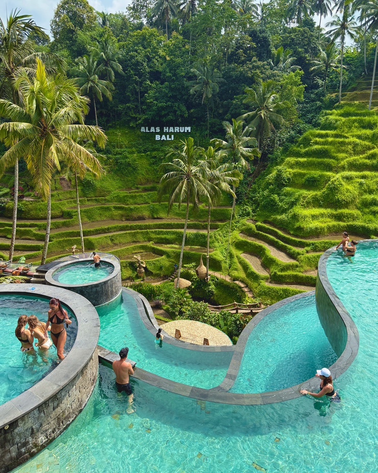  발리 핫플레이스 크레타야 우붓 Cretya Ubud 무료 자리 추천! 꿀팁