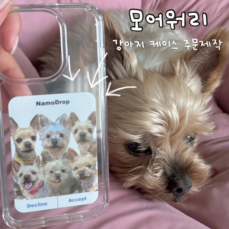  강아지 케이스 주문제작 모어워리 맥세이프케이스