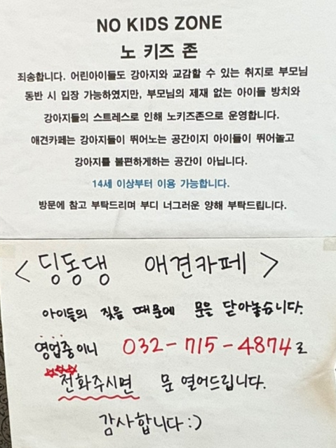딩동댕애견카페 사진 4