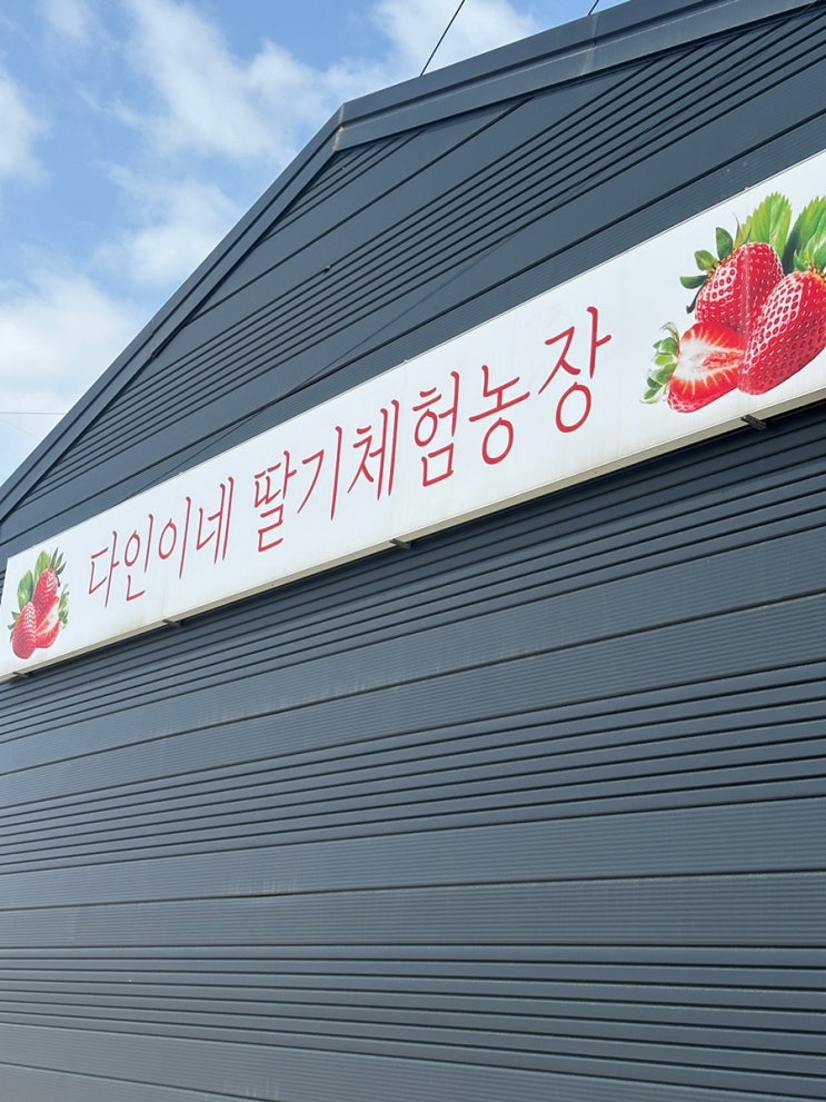  서울근교나들이 "다인이네 딸기체험농장"