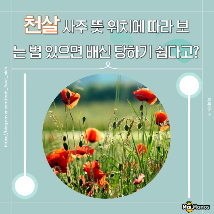  천살 사주 뜻 위치에 따라 보는 법 있으면 배신 당하기 쉽다고?