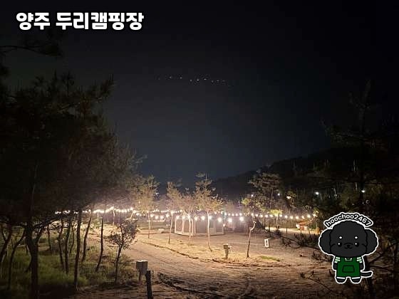 양주 두리캠핑장 사진 2