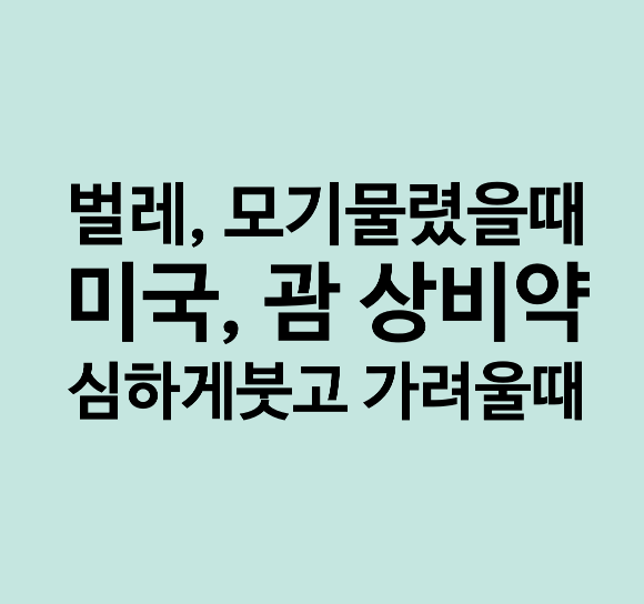 미국 상비약 추천 / 괌 약국 / 모기, 벌레 물렸을때 부었을때
