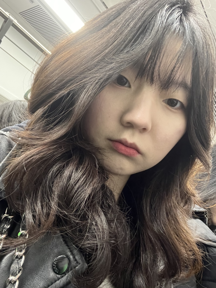  서초구 미용실 오즈헤어에서 퍼스널 헤어스타일링으로 맞춤 허쉬펌 한 후기