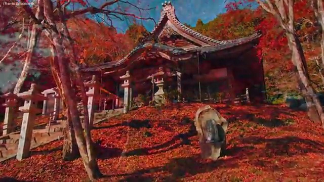  심리상담사2급시험 , 심리상담사 간단하게 준비한 과정 , 취업정보