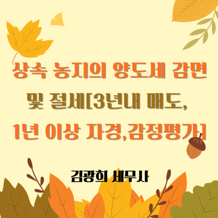  상속 농지의 양도세 감면 및 절세[3년내 매도, 1년 이상 자경, 감정평가]