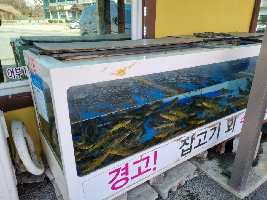 자연산민물매운탕 사진 3