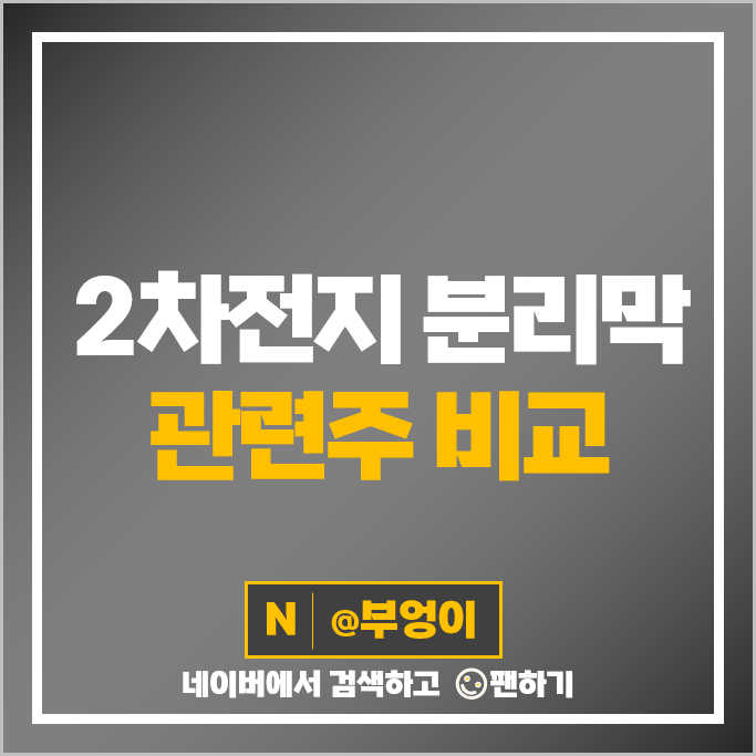 2차전지 분리막 관련주 대장주 더블유씨피 주식 대한유화 현대공업 주가 2차전지 분리막 관련주 대장주 더블유씨피 주식 대한유화 현대공업 주가