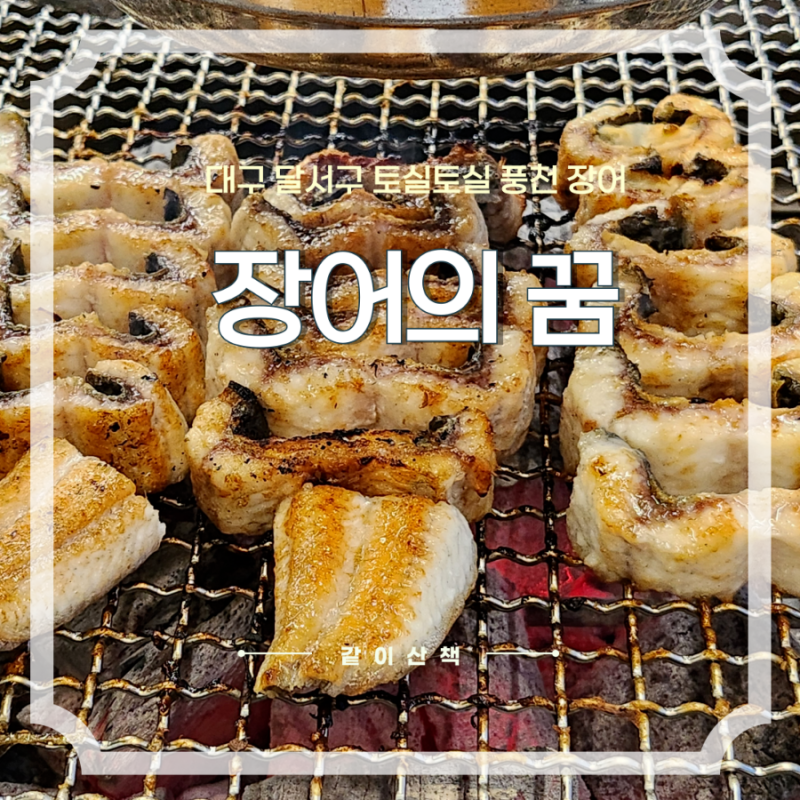 대구 화원, 달서구 월배 유천동 구워주는 풍천 장어 맛집 : 장어의꿈 대구