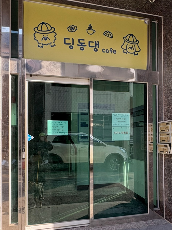 딩동댕애견카페 사진 2