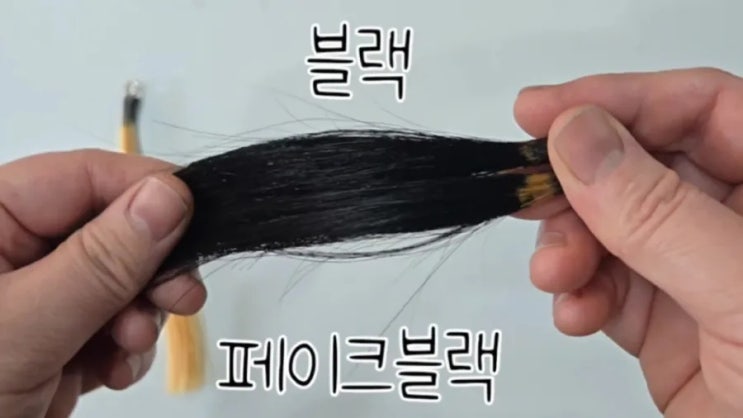  용운동미용실 [ 바바라헤어 마이스터 ] 페이크 블랙과 블랙 염색 비교! 탈색하면 어떻게 변할까?