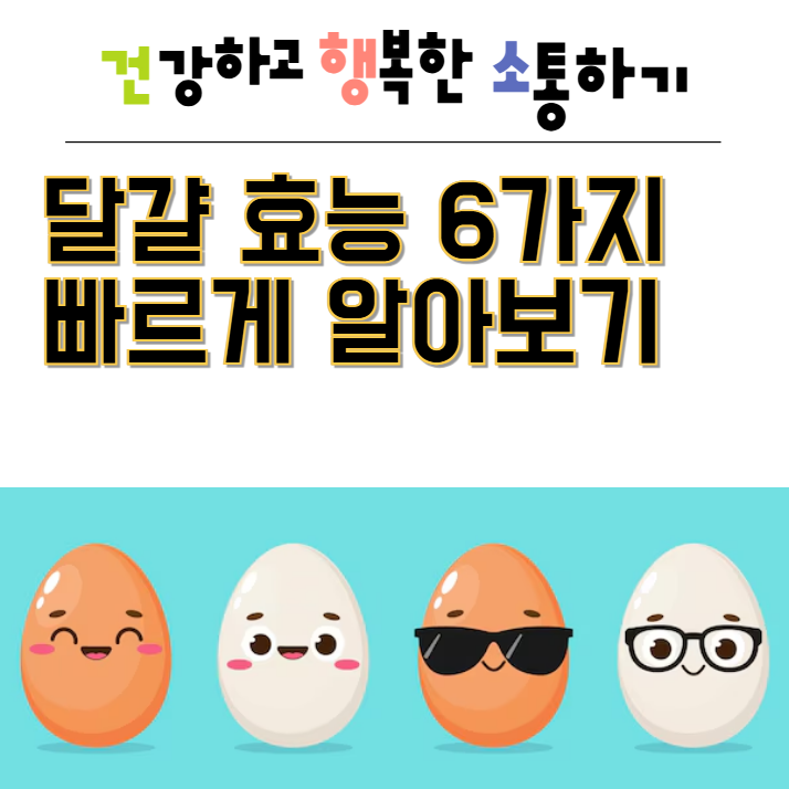  달걀 효능 6가지 빠르게 알아보기